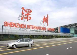 深圳二胎爆料最新消息,全面解读与影响分析