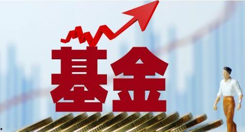 新华基金爆料最新消息,揭秘市场动态与投资趋势