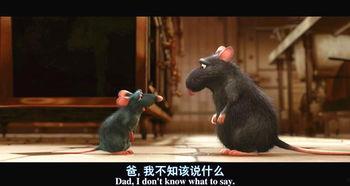 最新爆料老鼠事件新闻,最新老鼠事件引发公众关注，卫生安全问题亟待解决