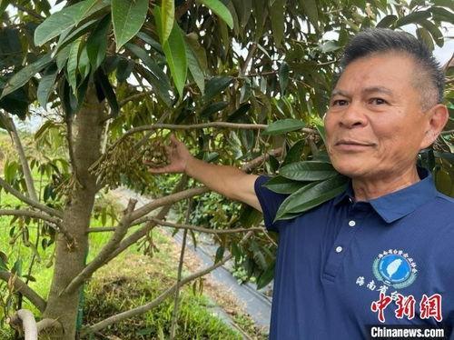 台湾果农最新爆料,果品市场背后真相曝光！”