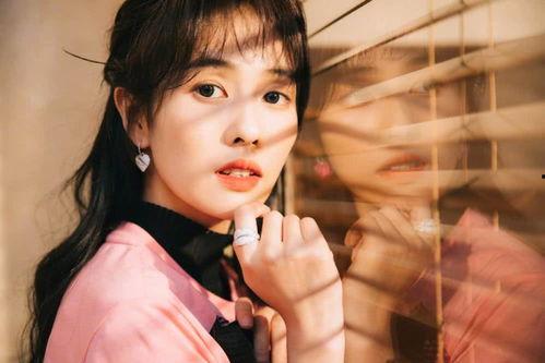 明星爆料白鹿视频大全最新,明星爆料揭秘，精彩瞬间一网打尽