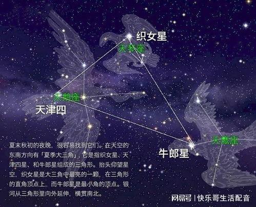 牵牛星和织女星最新爆料,最新爆料揭秘星河恋曲